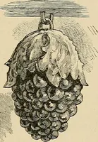 Picture 32 of 112 from Old landmarks and historic personages of Boston (1901), leaf 136