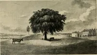 Picture 84 of 112 from Old landmarks and historic personages of Boston (1901), leaf 370