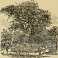 Picture 85 of 112 from Old landmarks and historic personages of Boston (1901), leaf 373