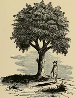 An illustration from Old landmarks and historic personages of Boston (1901)