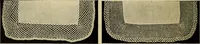 Picture 51 of 51 from Old and new designs in crochet work (1900), leaf 37
