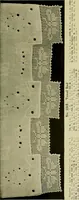 An illustration from Old and new designs in crocheted towels, pillow-cases, sheets (1900)