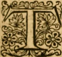 Picture 16 of 34 from The Old and New Testaments (1612), leaf 589