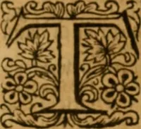 Picture 21 of 34 from The Old and New Testaments (1612), leaf 736