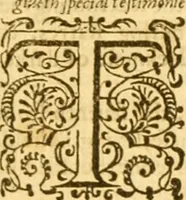 Picture 22 of 35 from The Old and New Testaments (1612), leaf 244