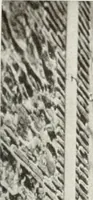 An illustration from Old Spain (1921)