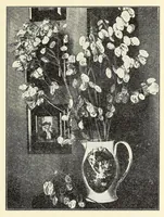 Picture 4 of 13 from Old time gardens, newly set forth (1901), leaf 239