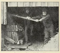 An illustration from Old time gardens, newly set forth (1901)