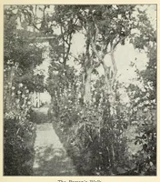Picture 6 of 13 from Old time gardens, newly set forth (1901), leaf 303