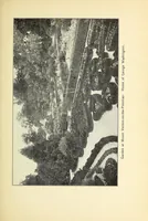 An illustration from Old time gardens, newly set forth (1901)
