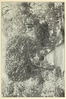 An illustration from Old time gardens, newly set forth (1901)