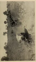 An illustration from The old transport road (1914)