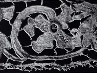 An illustration from Old world lace; or, A guide for the lace lover (1920)