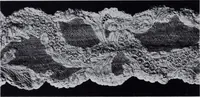 Picture 18 of 75 from Old world lace; or, A guide for the lace lover (1920), leaf 25