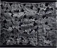 An illustration from Old world lace; or, A guide for the lace lover (1920)