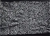 An illustration from Old world lace; or, A guide for the lace lover (1920)