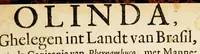 Picture 2 of 4 from Olinda, ghelegen int landt van Brasil, inde capitania van Phernambuco, : met mannelijcke dapperheyt ende groote couragie inghenomen, ende geluckelijck verovert op den 16. Februarij A°. 1630. Onder het beleydt vanden seer manhaften ende cloeckmoedigen zee-helt, den Heere Henrick Lonck, generael weghen de geoctroyeerde West-Indische Compagnie, over een machtige vloote schepen, door den VVel-Edelen, seer gestrengen ende grootmoedige[n] Heere Diederich van Weerdenburg, Heere van Lent, Velt-Overste ende Colonel over dry Regimenten Infanterie. (1630), leaf 7