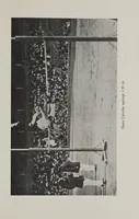 An illustration from Olympia und die olympischen Spiele von 776 v. Chr. bis 1924 (1926)