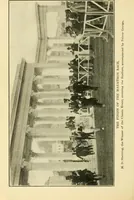 An illustration from The Olympic games at Athens, 1906 (1906)
