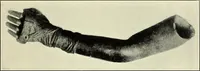 Picture 72 of 110 from Olympic victor monuments and Greek athletic art (1921), leaf 312