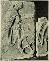 Picture 85 of 110 from Olympic victor monuments and Greek athletic art (1921), leaf 353