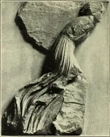 Picture 87 of 110 from Olympic victor monuments and Greek athletic art (1921), leaf 357