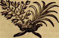 An illustration from Ombrassische Helden-Rüst-Kammer : welche von Ferdinanden, Ertzhertzogen zu Oesterreich, herrlich angerichtet (1735)