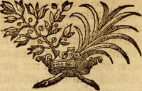 An illustration from Ombrassische Helden-Rüst-Kammer : welche von Ferdinanden, Ertzhertzogen zu Oesterreich, herrlich angerichtet (1735)