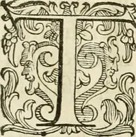 An illustration from Ombre apparenti nel Teatro d'imprese (1629)