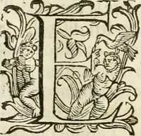 An illustration from Ombre apparenti nel Teatro d'imprese (1629)