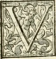 An illustration from Ombre apparenti nel Teatro d'imprese (1629)