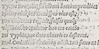 An illustration from Omnes Georgii Macropedii Fabvlae comicae, denvo recognite, et iusto ordine (prout editae sunt) in duas partes diuisae (1552)