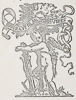 Picture 25 of 30 from Omnes Georgii Macropedii Fabvlae comicae, denvo recognite, et iusto ordine (prout editae sunt) in duas partes diuisae (1552), leaf 282