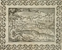 Picture 31 of 263 from Omnia Andreae Alciati v. c. emblemata : cum commentariis, quibus emblematum omnium aperta origine, mens authoris explicatur, & obscura omnia dubiaque illustrantur (1583), leaf 103