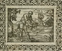 An illustration from Omnia Andreae Alciati v. c. emblemata : cum commentariis, quibus emblematum omnium aperta origine, mens authoris explicatur, & obscura omnia dubiaque illustrantur (1583)
