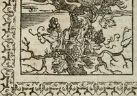 An illustration from Omnia Andreae Alciati v. c. emblemata : cum commentariis, quibus emblematum omnium aperta origine, mens authoris explicatur, & obscura omnia dubiaque illustrantur (1583)