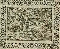 Picture 52 of 263 from Omnia Andreae Alciati v. c. emblemata : cum commentariis, quibus emblematum omnium aperta origine, mens authoris explicatur, & obscura omnia dubiaque illustrantur (1583), leaf 166