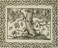 An illustration from Omnia Andreae Alciati v. c. emblemata : cum commentariis, quibus emblematum omnium aperta origine, mens authoris explicatur, & obscura omnia dubiaque illustrantur (1583)