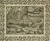 Picture 71 of 263 from Omnia Andreae Alciati v. c. emblemata : cum commentariis, quibus emblematum omnium aperta origine, mens authoris explicatur, & obscura omnia dubiaque illustrantur (1583), leaf 210