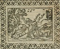 Picture 76 of 263 from Omnia Andreae Alciati v. c. emblemata : cum commentariis, quibus emblematum omnium aperta origine, mens authoris explicatur, & obscura omnia dubiaque illustrantur (1583), leaf 218