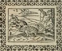 Picture 77 of 263 from Omnia Andreae Alciati v. c. emblemata : cum commentariis, quibus emblematum omnium aperta origine, mens authoris explicatur, & obscura omnia dubiaque illustrantur (1583), leaf 221