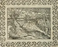 Picture 86 of 263 from Omnia Andreae Alciati v. c. emblemata : cum commentariis, quibus emblematum omnium aperta origine, mens authoris explicatur, & obscura omnia dubiaque illustrantur (1583), leaf 237