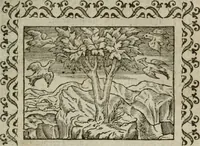 An illustration from Omnia Andreae Alciati v. c. emblemata : cum commentariis, quibus emblematum omnium aperta origine, mens authoris explicatur, & obscura omnia dubiaque illustrantur (1583)