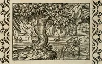 An illustration from Omnia Andreae Alciati v. c. emblemata : cum commentariis, quibus emblematum omnium aperta origine, mens authoris explicatur, & obscura omnia dubiaque illustrantur (1583)