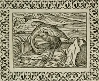 An illustration from Omnia Andreae Alciati v. c. emblemata : cum commentariis, quibus emblematum omnium aperta origine, mens authoris explicatur, & obscura omnia dubiaque illustrantur (1583)