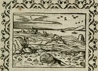 An illustration from Omnia Andreae Alciati v. c. emblemata : cum commentariis, quibus emblematum omnium aperta origine, mens authoris explicatur, & obscura omnia dubiaque illustrantur (1583)