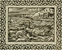 An illustration from Omnia Andreae Alciati v. c. emblemata : cum commentariis, quibus emblematum omnium aperta origine, mens authoris explicatur, & obscura omnia dubiaque illustrantur (1583)