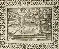 Picture 137 of 263 from Omnia Andreae Alciati v. c. emblemata : cum commentariis, quibus emblematum omnium aperta origine, mens authoris explicatur, & obscura omnia dubiaque illustrantur (1583), leaf 343