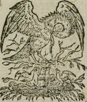 An illustration from Omnia Andreae Alciati v. c. emblemata : cum commentariis, quibus emblematum omnium aperta origine, mens authoris explicatur, & obscura omnia dubiaque illustrantur (1583)