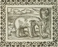 Picture 166 of 263 from Omnia Andreae Alciati v. c. emblemata : cum commentariis, quibus emblematum omnium aperta origine, mens authoris explicatur, & obscura omnia dubiaque illustrantur (1583), leaf 431